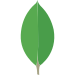 mongodb development